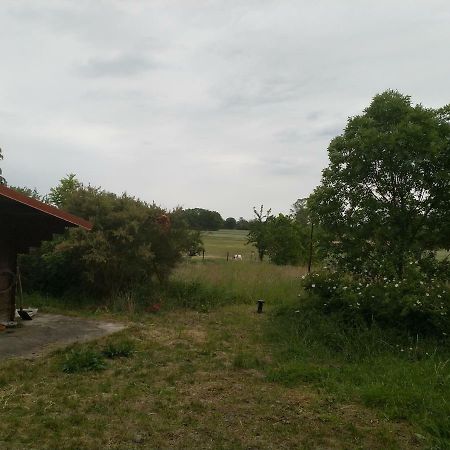 New Home Langendorf  Esterno foto