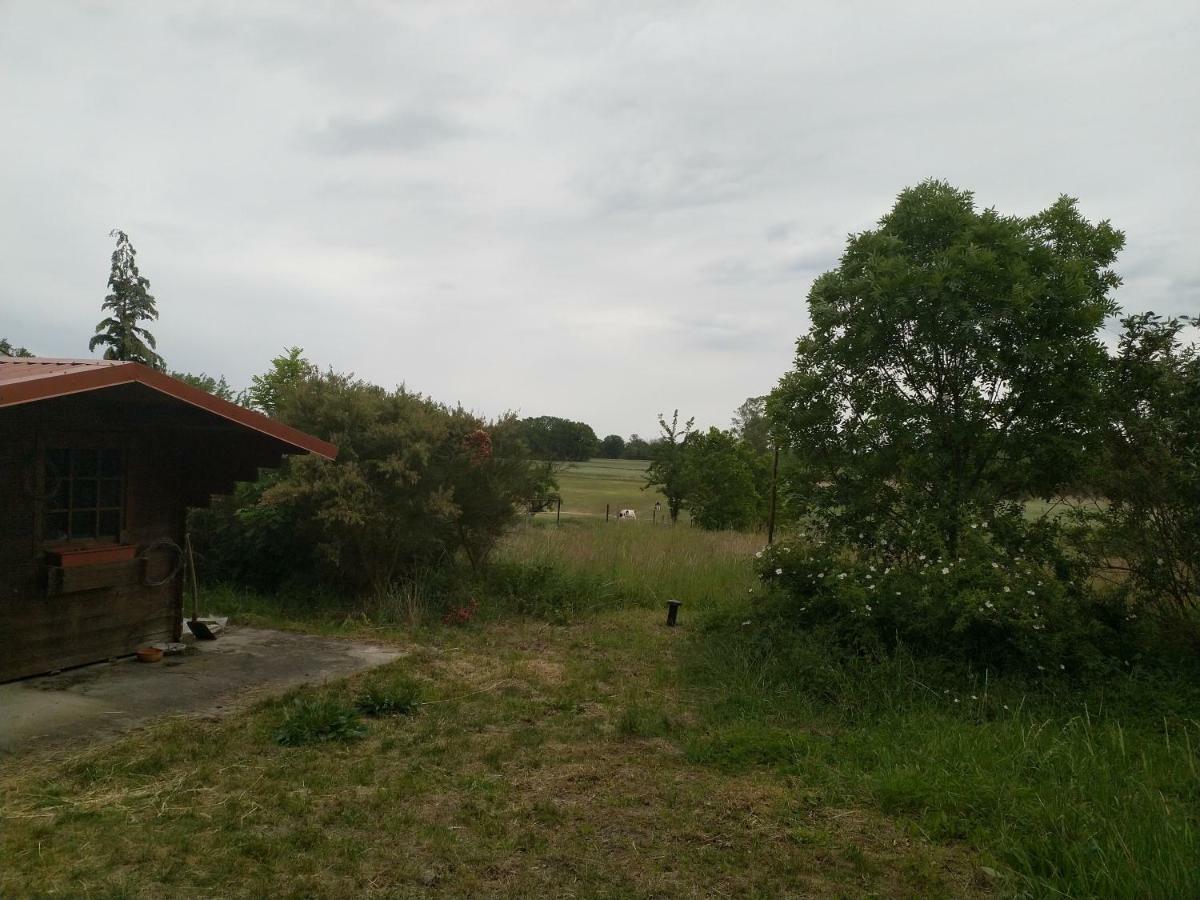 New Home Langendorf  Esterno foto